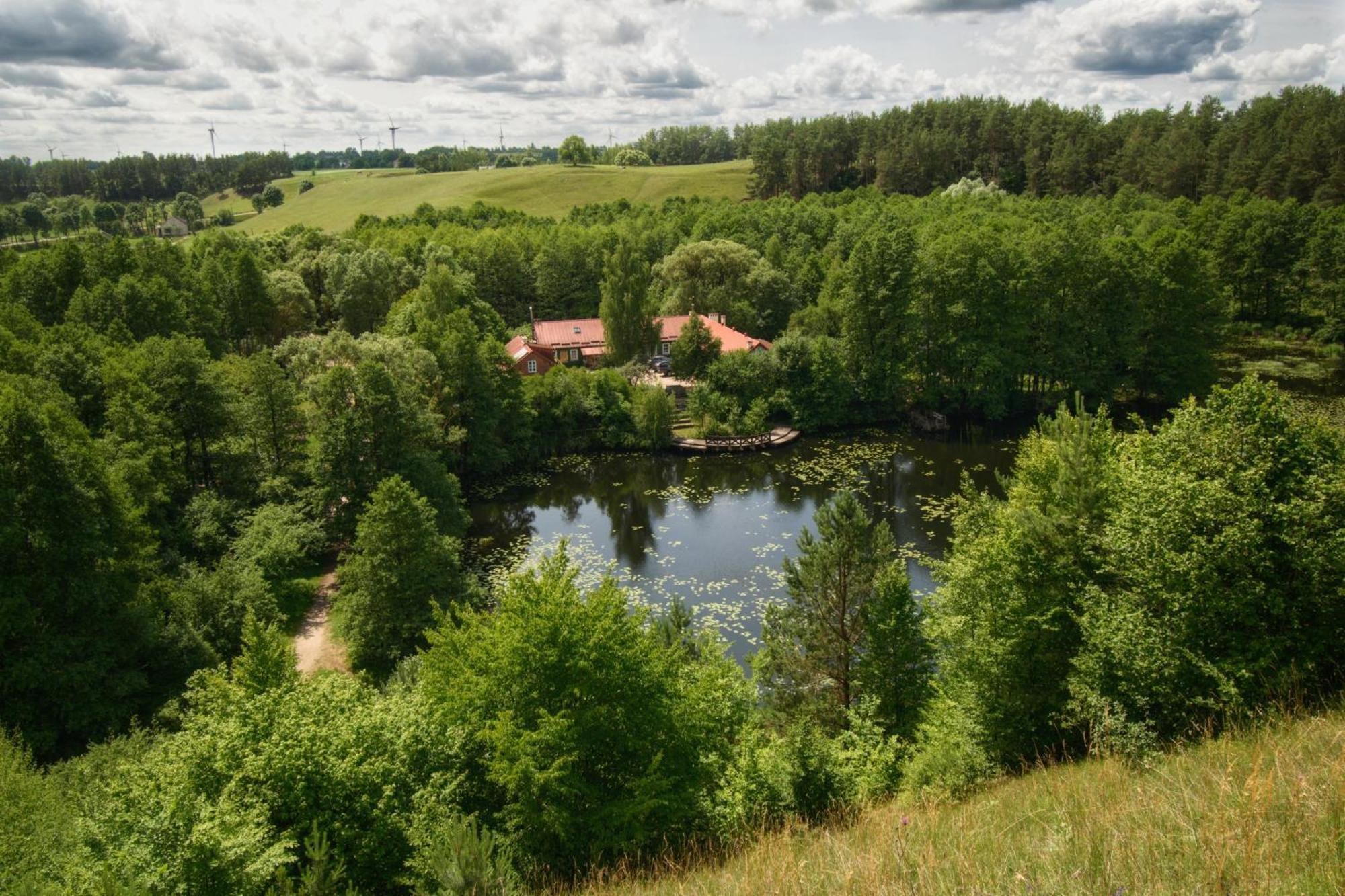 Apartment Nowomiejska